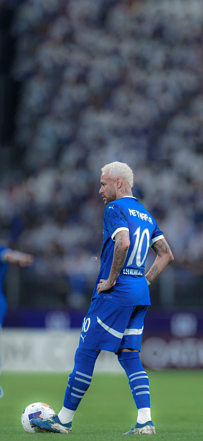 逐渐成为公 逐渐成为公